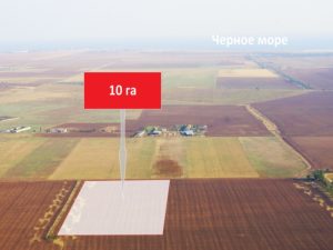 Сколько гектаров в 1 пае