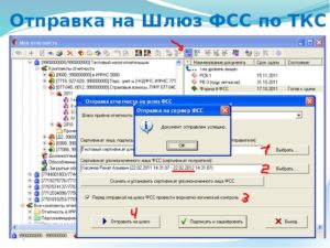 Шлюз фсс для отправки больничных листов