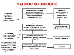 Котировки по 223 фз пошаговая инструкция для заказчика