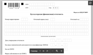 Финансовая бухгалтерская отчетность 1050 7018 эксель