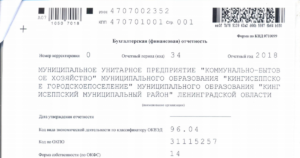 Финансовая бухгалтерская отчетность 1050 7018 эксель
