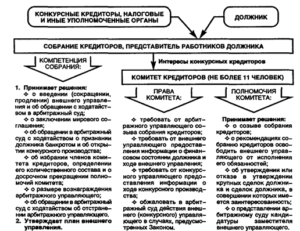 Отличие конкурсного кредитора от кредиора