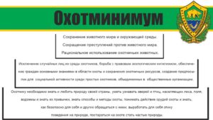 Охотминимум для получения охотничьего билета