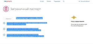 Как записаться через госуслуги в мвд на получение загранпаспорта