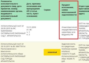 Иные взыскания имущественного характера в пользу бюджетов российской федерации