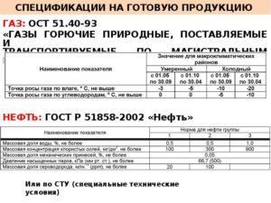 Спецификация на готовую продукцию образец