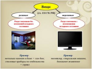 Примеры делимых и неделимых вещей в гражданском праве