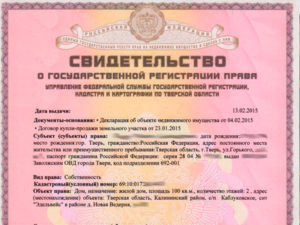 Можно ли оформить конструктор под свои документы 2020