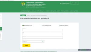 Фссп почему убирают из базы данных исполнительные производства