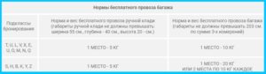 Багаж 1 км что значит