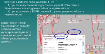 Как определить дату присвоения кадастрового номера