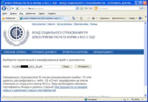 Шлюз фсс для отправки больничных листов