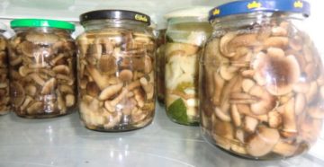 Грибы маринованные срок хранения