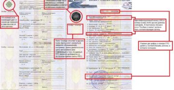Как узнать паспортные данные человека по стс авто Как узнать паспортные данные человека по стс авто