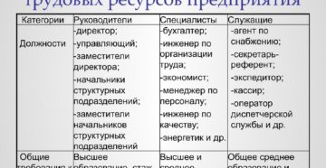 Какие категории относятся к служащим Какие категории относятся к служащим