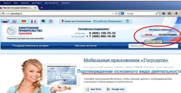Как сдавать отчетность в электронном виде бесплатно через госуслуги