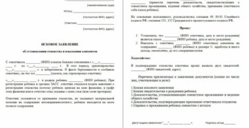 Как подать на алименты на биологического отца
