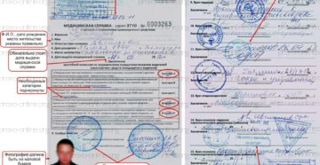 Как выглядит номер лицензии медицинской справки для получения прав