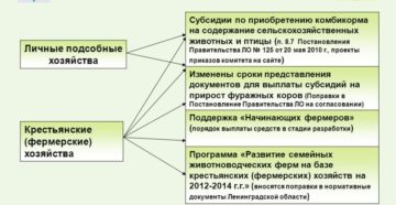 Субсидии для лпх в 2020 году на развитие как получить