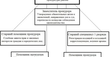 Должностные обязанности специалиста прокуратуры