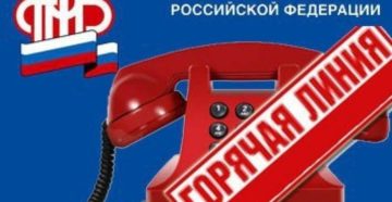 Горячая линия пфр спб Горячая линия пфр спб