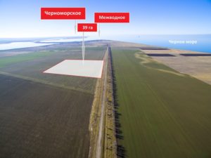 Сколько гектаров в 1 пае