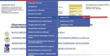 Проверить отчеты в статистику по окпо на сайте росстата