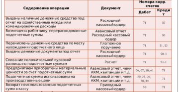 Выдано в подотчет на хозяйственные нужды проводка