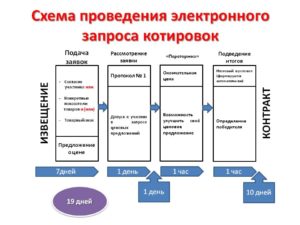 Котировки по 223 фз пошаговая инструкция для заказчика